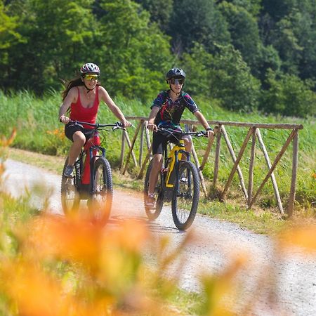 I Laghee Casette Breva E Tivano -Garden-Parking-Lake View - Bike Friendly Holiday House Colico Eksteriør bilde