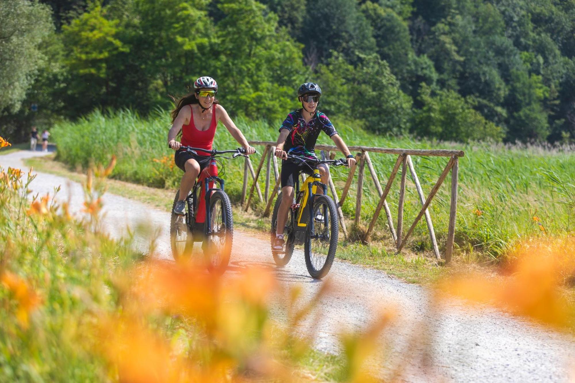 I Laghee Casette Breva E Tivano -Garden-Parking-Lake View - Bike Friendly Holiday House Colico Eksteriør bilde